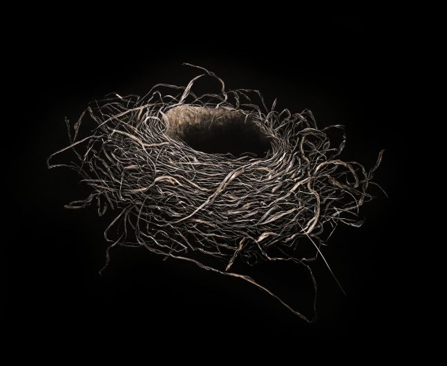 Mitchell Lonas

Robin Nest, Winter, 2021

incised, painted aluminum

47h x 59w in

SOLD